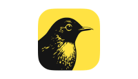 Birch logo