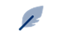 NeuronWriter logo