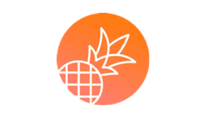 Pineapplebuilder logo