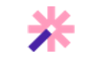 Vizard logo